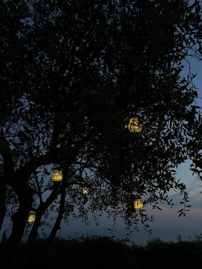 La Terrazza Sulla Versilia Pietrasanta Kültér fotó