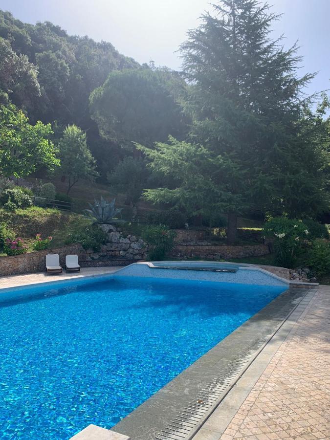 La Terrazza Sulla Versilia Pietrasanta Kültér fotó