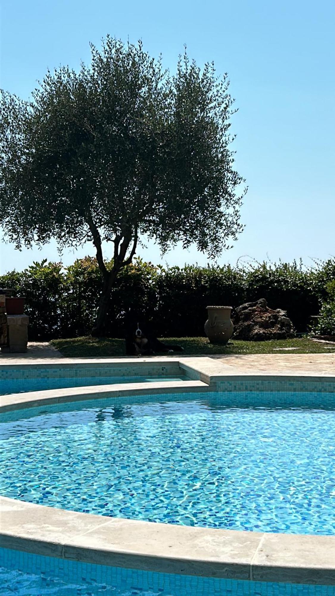 La Terrazza Sulla Versilia Pietrasanta Kültér fotó