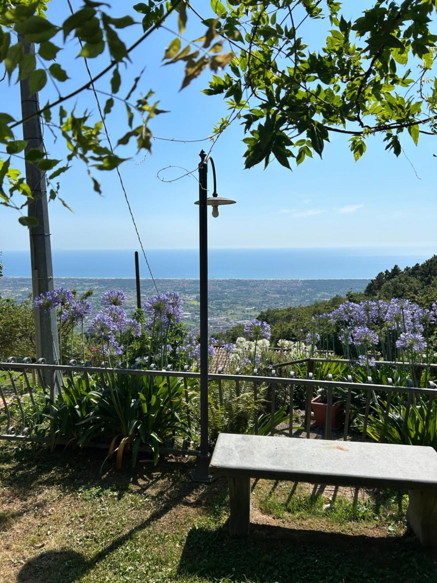 La Terrazza Sulla Versilia Pietrasanta Kültér fotó
